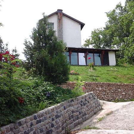 Pucioasa Casa Piscul Lupului 빌라 외부 사진