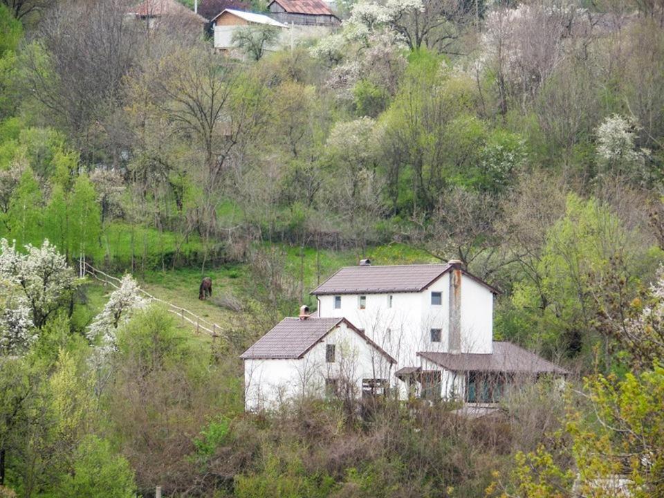Pucioasa Casa Piscul Lupului 빌라 외부 사진