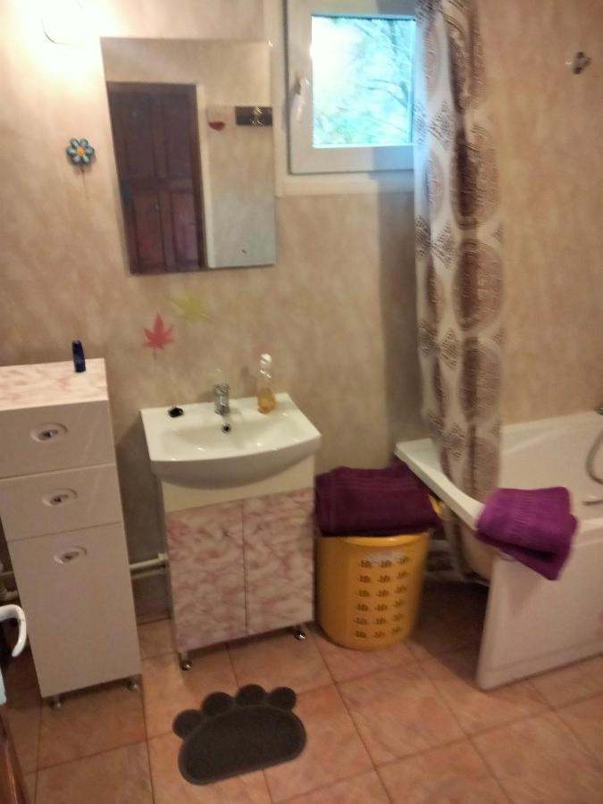 Pucioasa Casa Piscul Lupului 빌라 외부 사진
