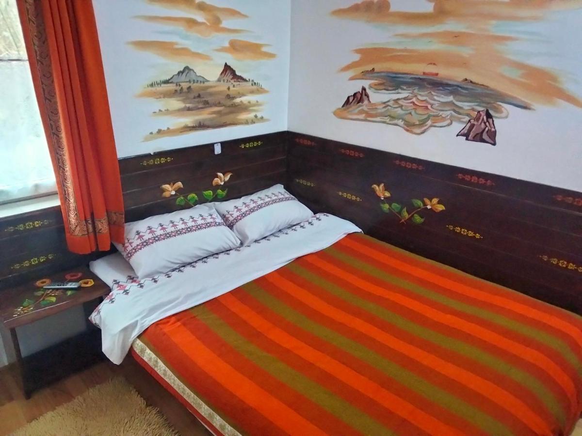 Pucioasa Casa Piscul Lupului 빌라 외부 사진