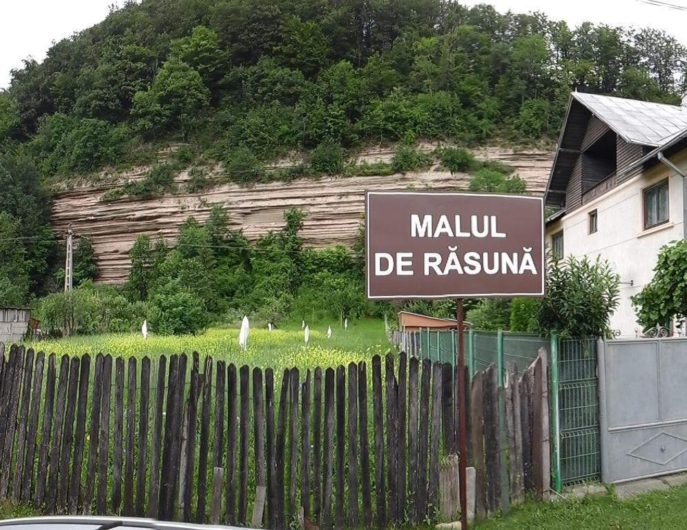 Pucioasa Casa Piscul Lupului 빌라 외부 사진