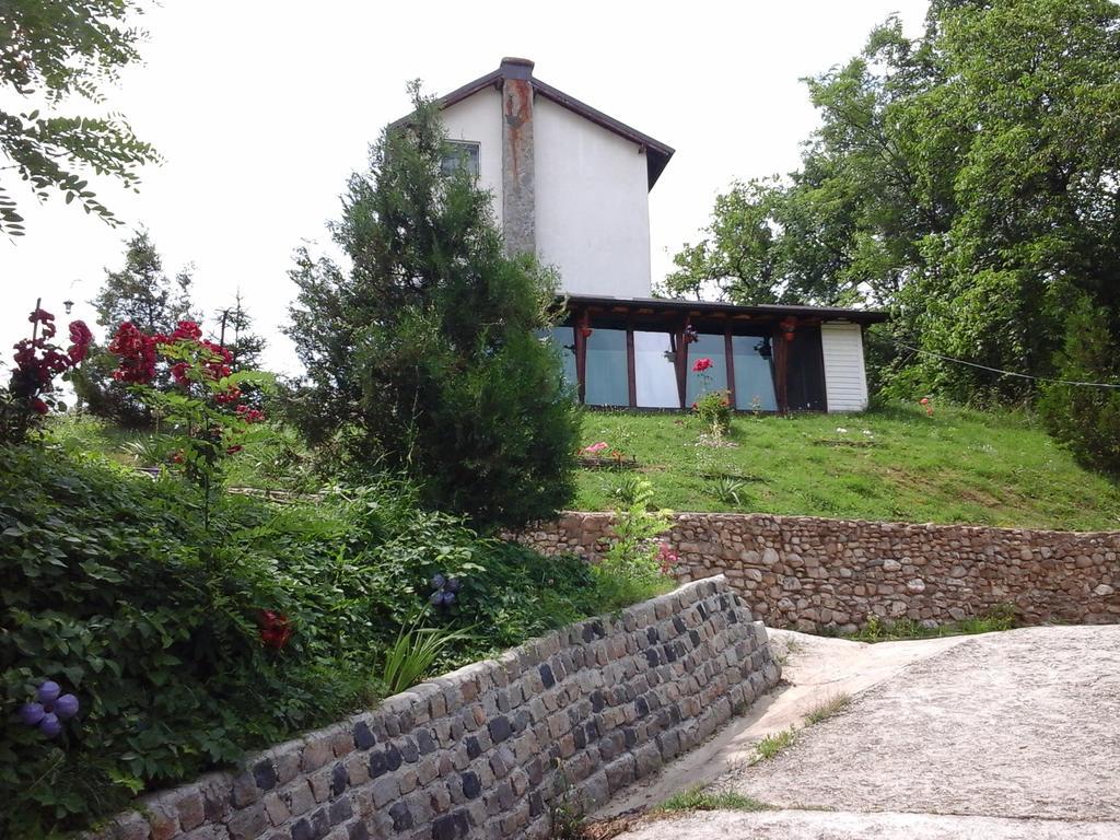 Pucioasa Casa Piscul Lupului 빌라 외부 사진
