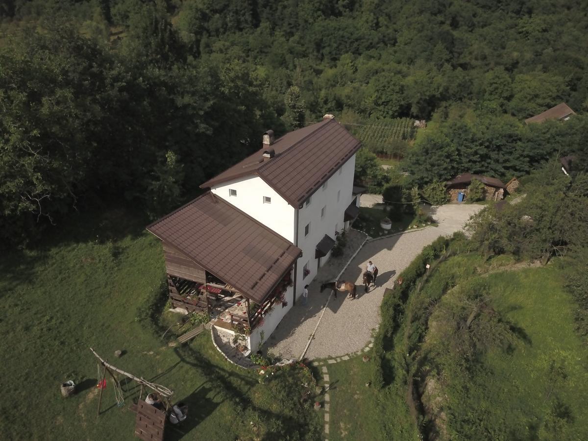 Pucioasa Casa Piscul Lupului 빌라 외부 사진
