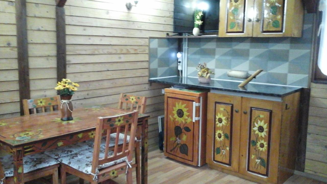 Pucioasa Casa Piscul Lupului 빌라 외부 사진